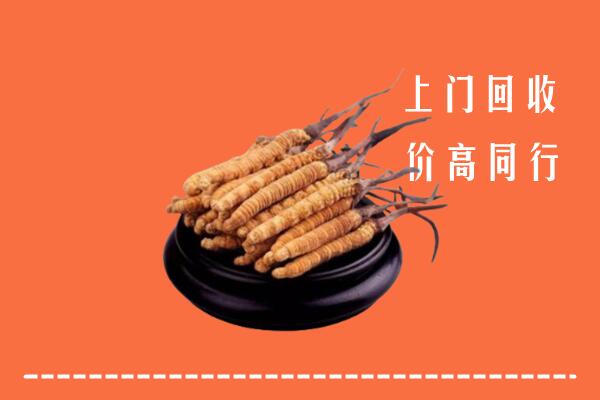 高价求购：大兴安岭回收散虫草