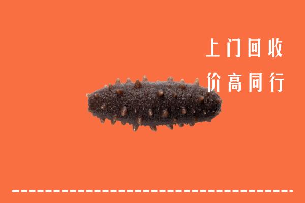高价求购：大兴安岭回收海参